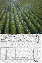Optimización y planeación para la agricultura